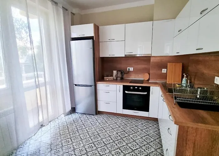 No X - Center * ソフィア